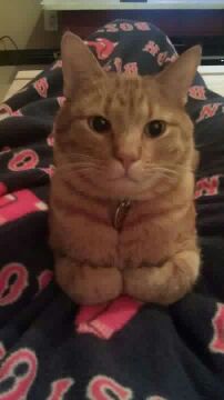 Whampy cutest picture ever